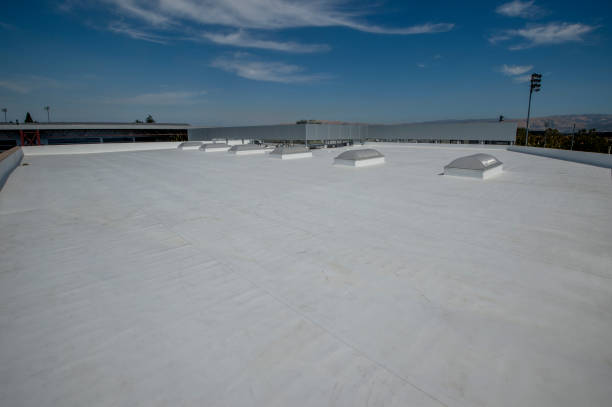 Best Rubber Roofing (EPDM, TPO)  in Lomita, CA